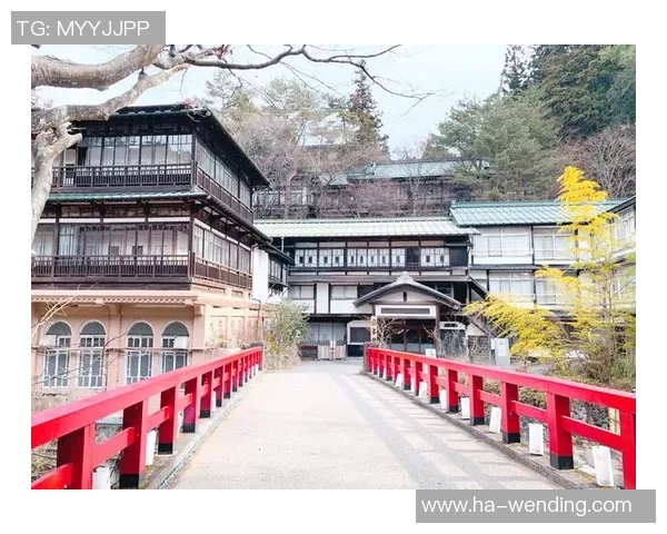 北九州向日葵与草津温泉群马的精彩对决与魅力探索